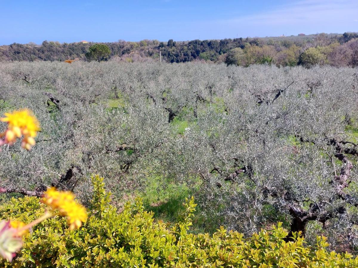 B&B Villa Mia Lanciano Eksteriør bilde